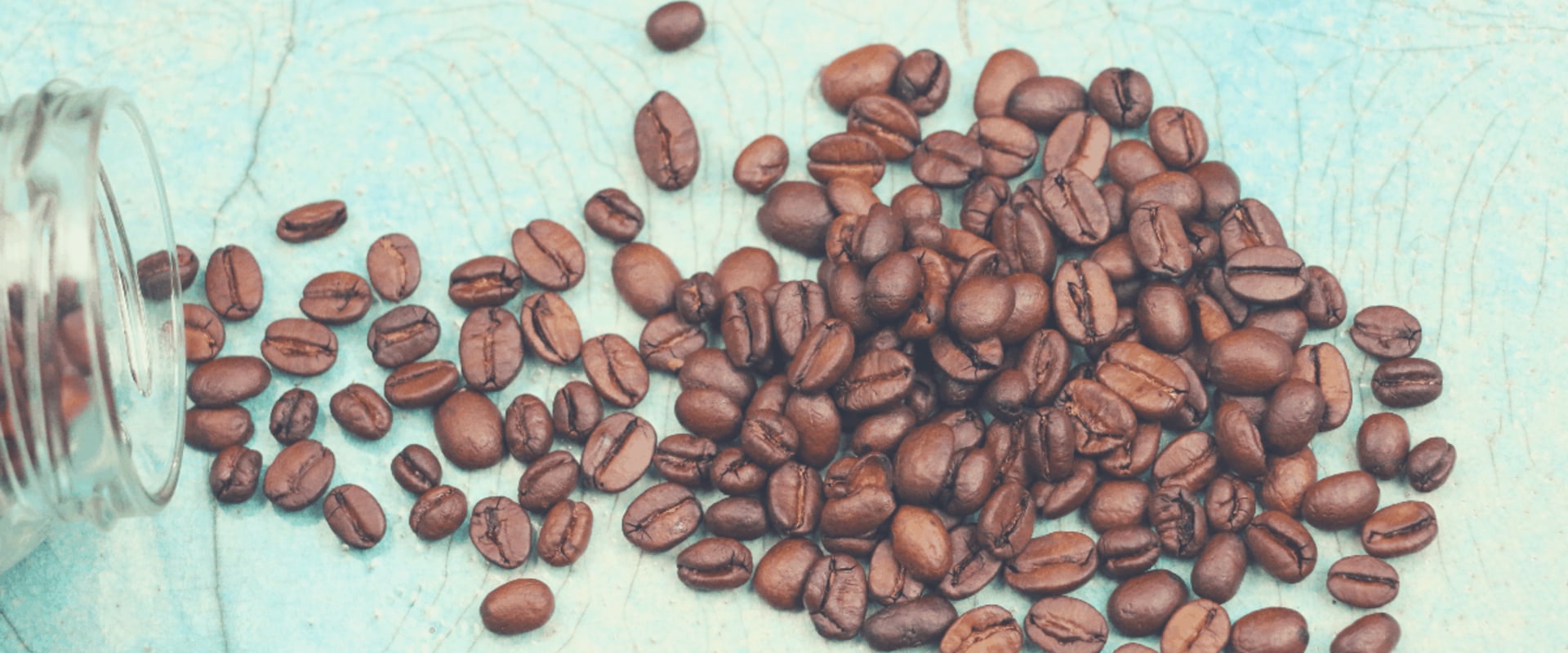 Are Coffee Beans Legumes? A Comprehensive Guide