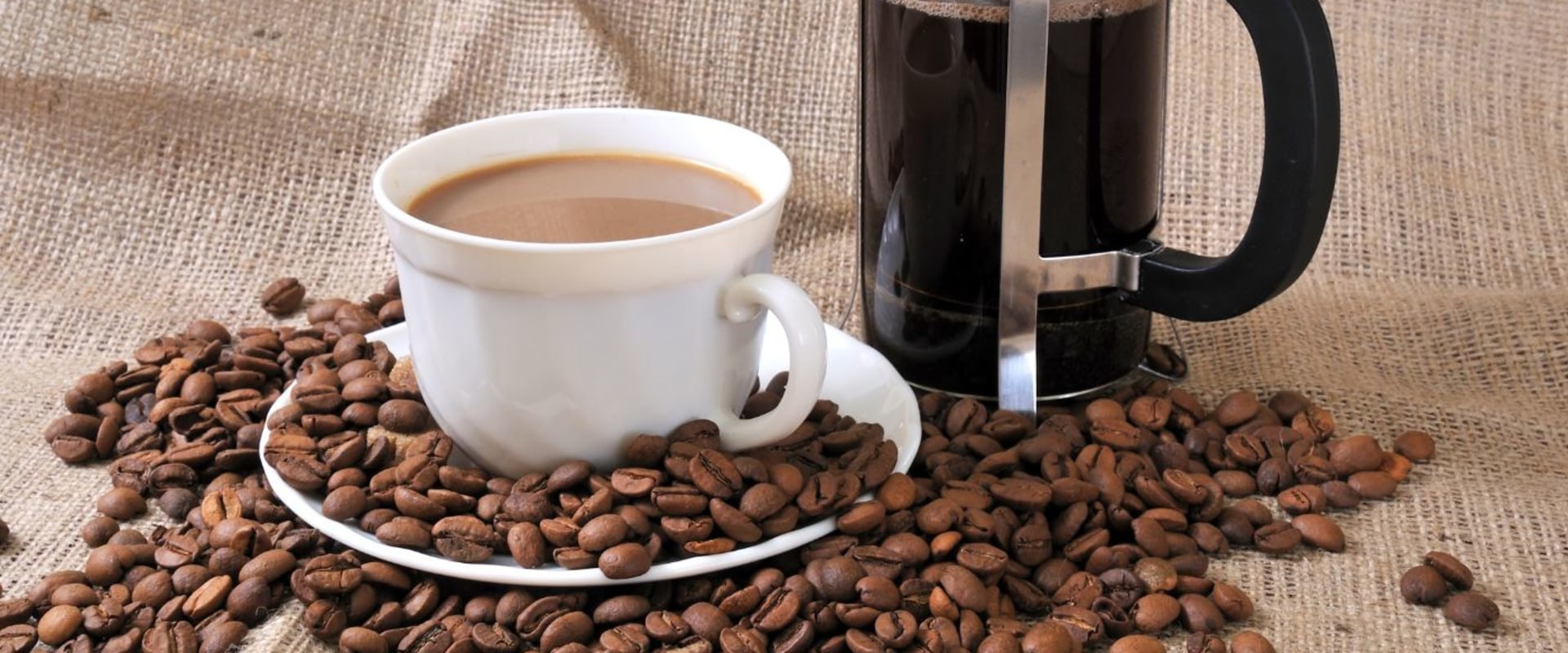 What store bought coffee is best for french press?