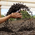 What are the sustainable methods for growing coffee?