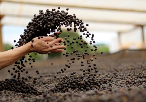 What are the challenges of sustainability in the coffee industry?